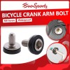 Bicycle Crank Arm Bolt