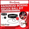 Kaisokugi Boxing Reflex Ball Kit