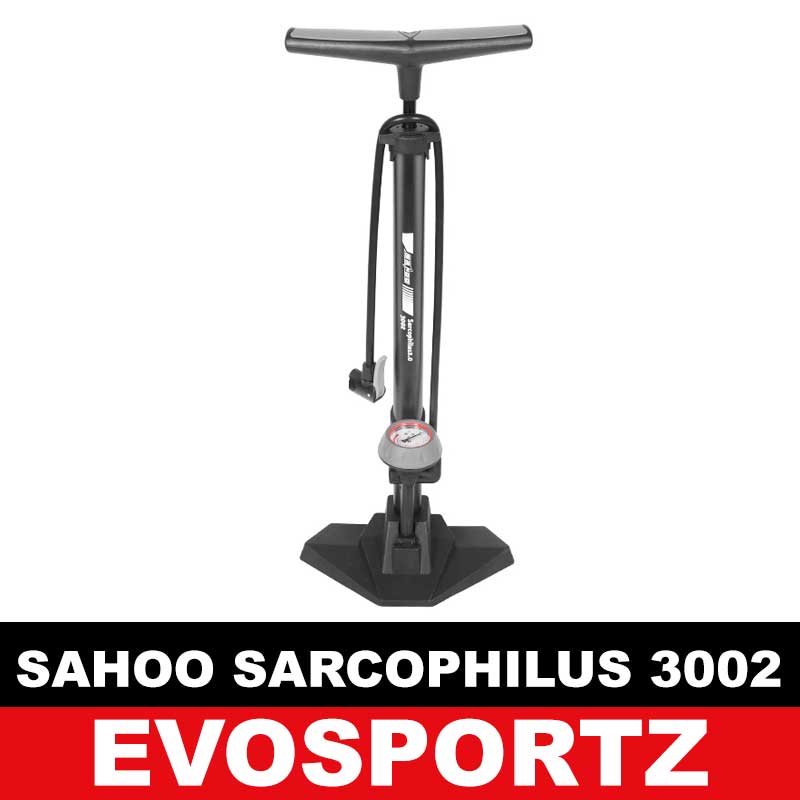 sahoo pump